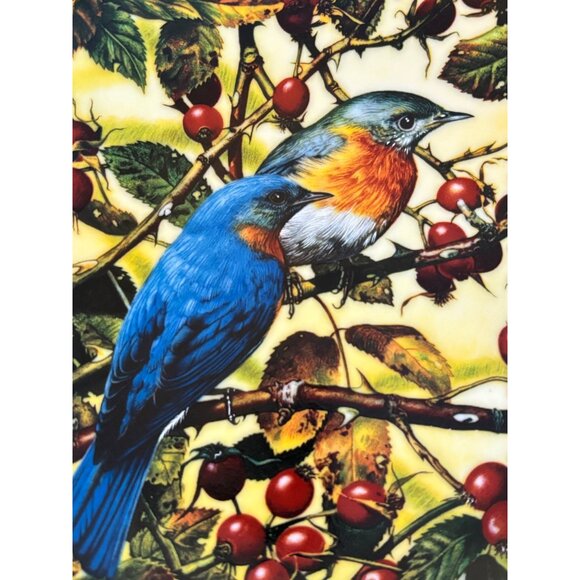 Vtg Portraits of Exquisite Birds The Beautiful Bluebirds Bradex Collector Plate - Picture 3 of 8